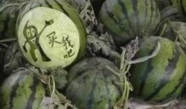 长垣吃瓜爆料视频