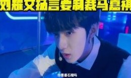 刘耀文经纪人爆料视频,揭秘明星幕后真相